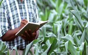Conseils et formation